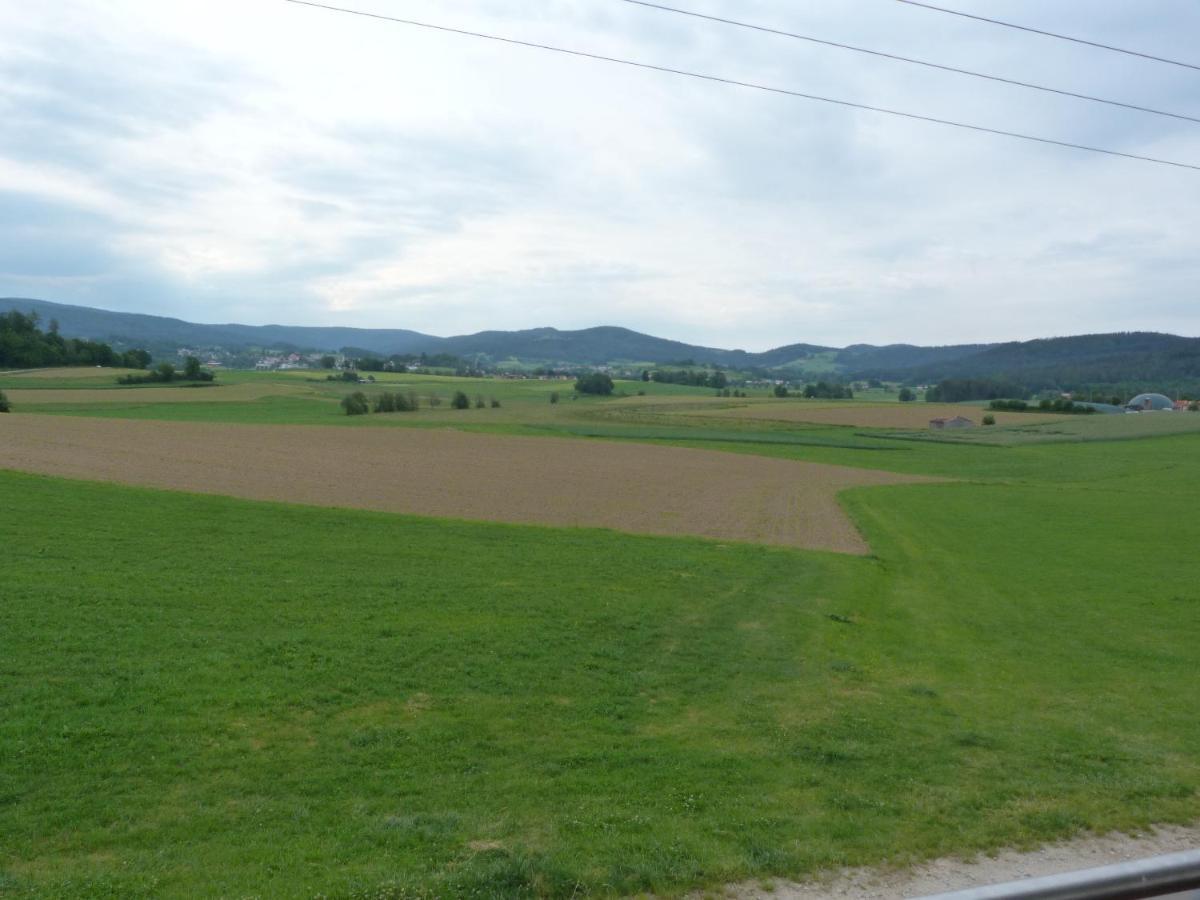 Ferienwohnung Spachtholz Waldmünchen Buitenkant foto